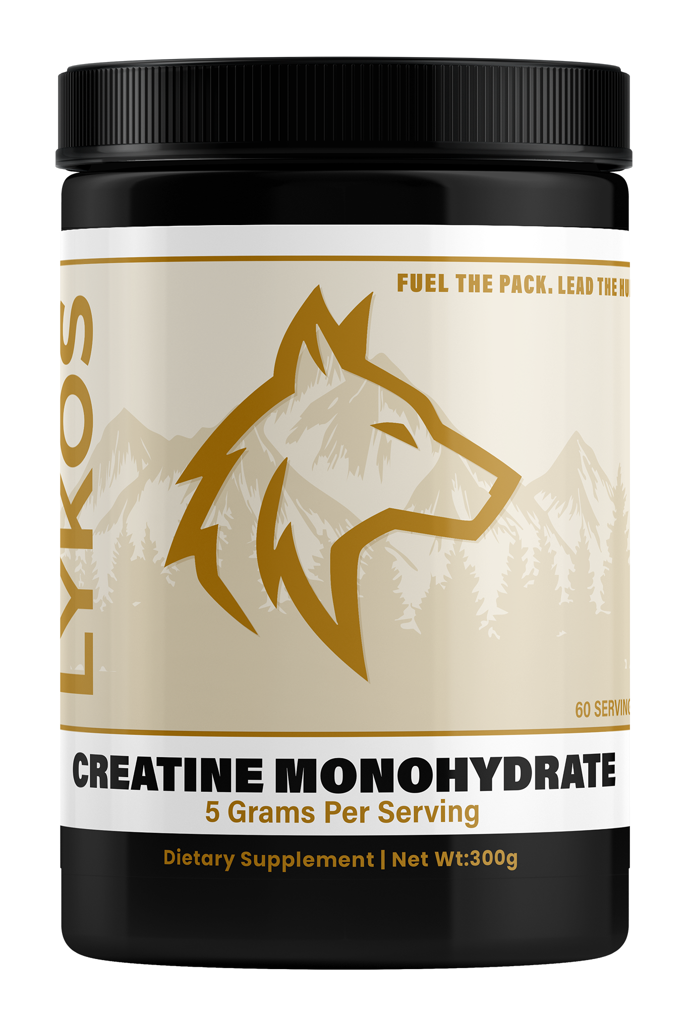 Micronized Creatine Monohydrate | Pure Creatine Monohydrate Powder